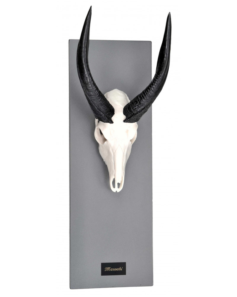 Colmillos FUENTES Y TAXIDERMIA S.L.